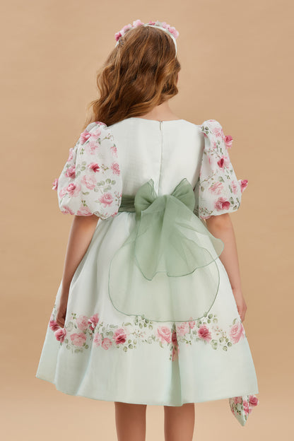 Twinkling Beauty Girls Dress 3-8 Years