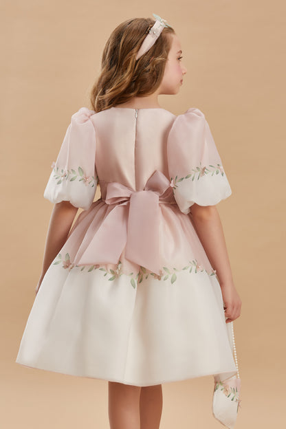 Princess Girls Dress 3-8 Years