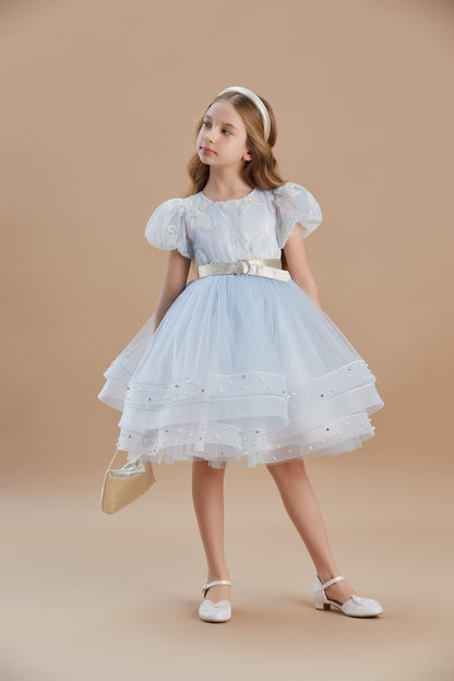 فستان أميرة حالمة للفتيات من 3 إلى 8 سنوات